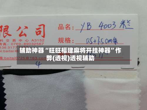 辅助神器“旺旺福建麻将开挂神器”作弊(透视)透视辅助-第1张图片