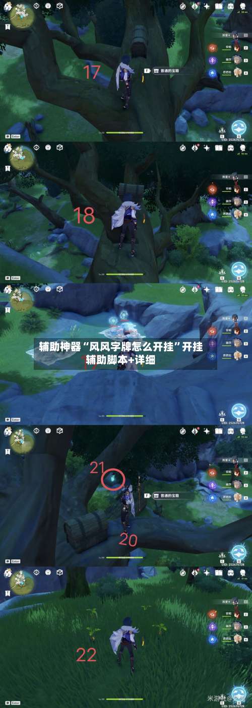 辅助神器“风风字牌怎么开挂”开挂辅助脚本+详细-第3张图片