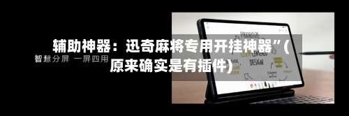 辅助神器：迅奇麻将专用开挂神器”(原来确实是有插件)-第3张图片
