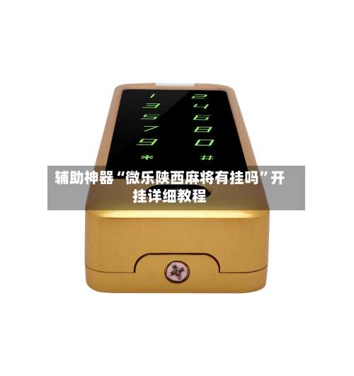 辅助神器“微乐陕西麻将有挂吗”开挂详细教程-第2张图片