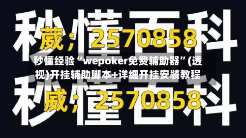 秒懂经验“wepoker免费辅助器”(透视)开挂辅助脚本+详细开挂安装教程-第1张图片