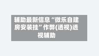 辅助最新信息“微乐自建房安装挂”作弊(透视)透视辅助-第3张图片