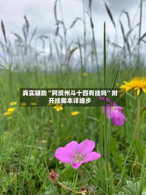 真实辅助“阿坝州斗十四有挂吗”附开挂脚本详细步-第1张图片