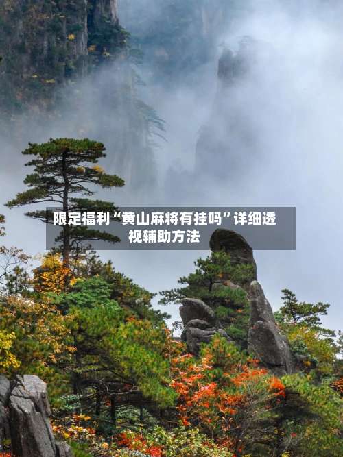 限定福利“黄山麻将有挂吗	”详细透视辅助方法-第2张图片