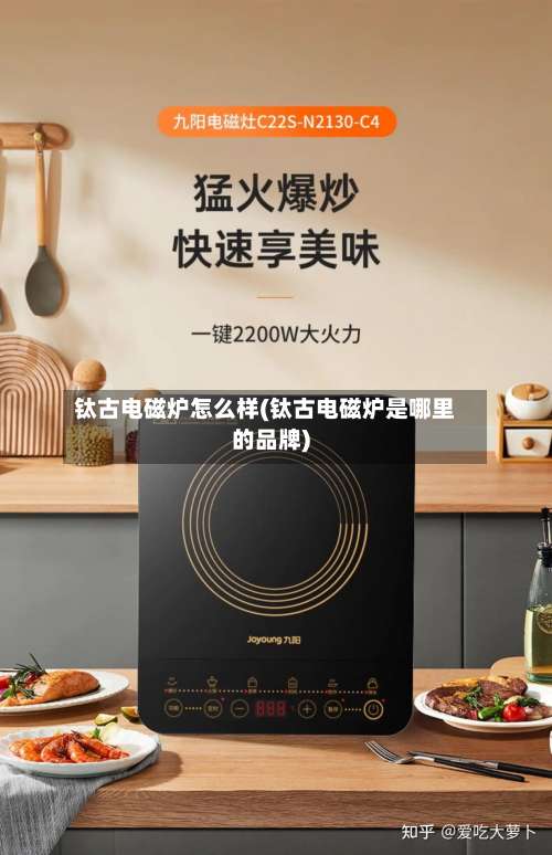 钛古电磁炉怎么样(钛古电磁炉是哪里的品牌)-第3张图片
