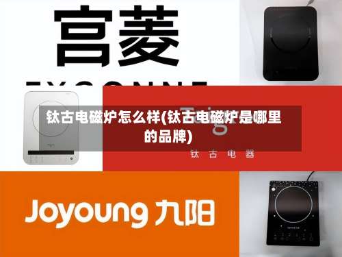 钛古电磁炉怎么样(钛古电磁炉是哪里的品牌)-第2张图片