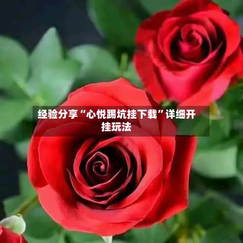 经验分享“心悦踢坑挂下载”详细开挂玩法-第3张图片