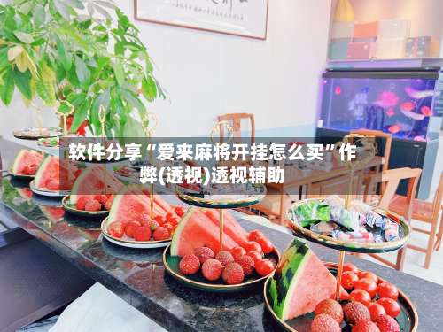 软件分享“爱来麻将开挂怎么买”作弊(透视)透视辅助-第2张图片