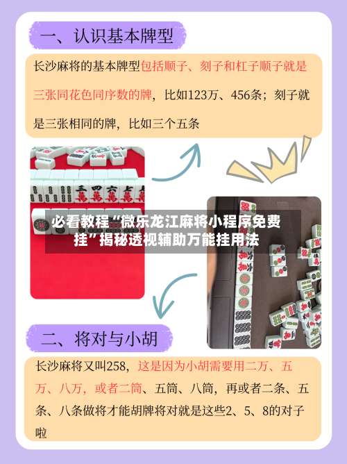 必看教程“微乐龙江麻将小程序免费挂”揭秘透视辅助万能挂用法-第2张图片