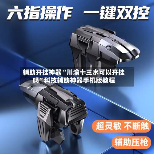 辅助开挂神器“川渝十三水可以开挂吗”科技辅助神器手机版教程-第3张图片