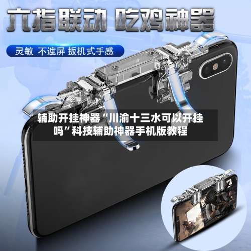 辅助开挂神器“川渝十三水可以开挂吗”科技辅助神器手机版教程-第2张图片