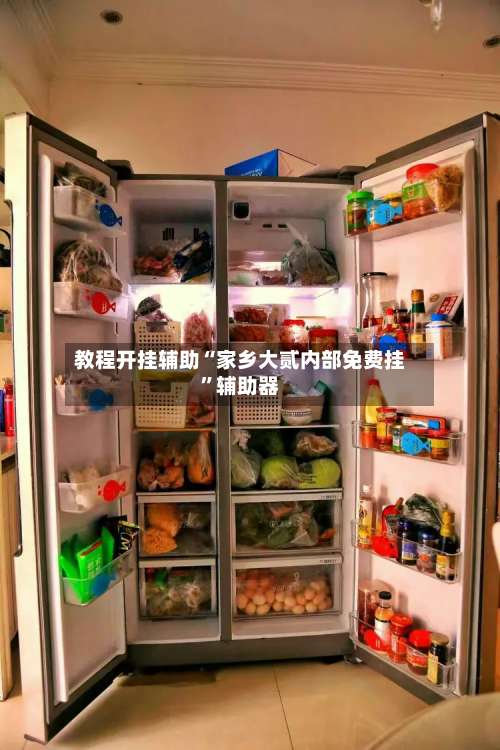 教程开挂辅助“家乡大贰内部免费挂	”辅助器-第2张图片