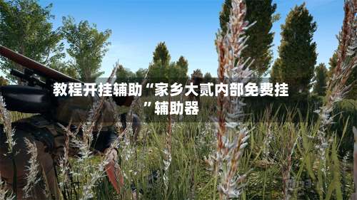 教程开挂辅助“家乡大贰内部免费挂”辅助器-第3张图片