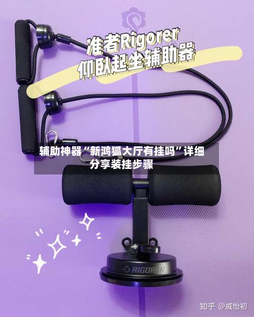 辅助神器“新鸿狐大厅有挂吗	”详细分享装挂步骤-第2张图片