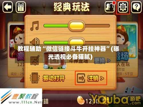 教程辅助“微信链接斗牛开挂神器	”(曝光透视必备猫腻)-第3张图片