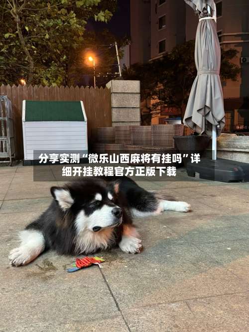 分享实测“微乐山西麻将有挂吗	”详细开挂教程官方正版下载-第1张图片