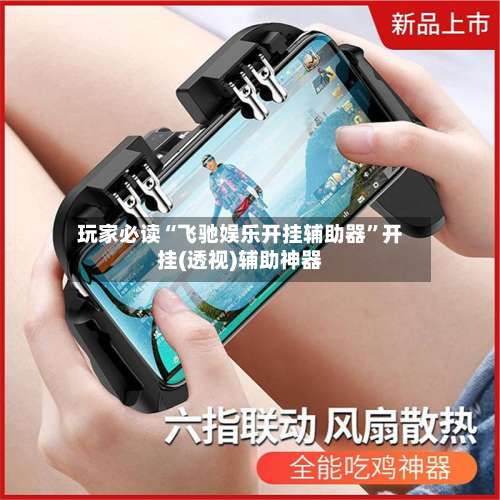 玩家必读“飞驰娱乐开挂辅助器	”开挂(透视)辅助神器-第1张图片