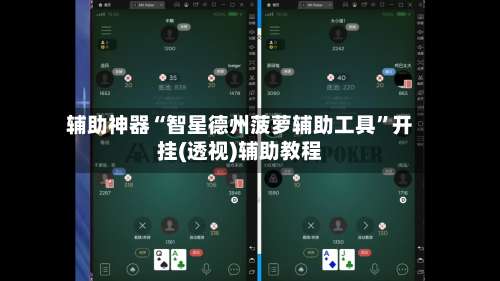 辅助神器“智星德州菠萝辅助工具	”开挂(透视)辅助教程-第1张图片