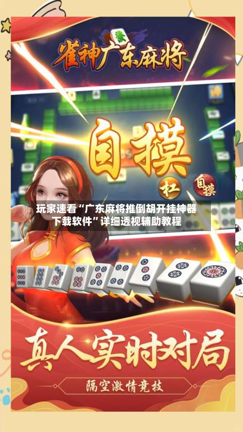 玩家速看“广东麻将推倒胡开挂神器下载软件	”详细透视辅助教程-第3张图片