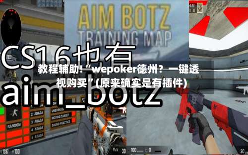 教程辅助!“wepoker德州？一键透视购买”(原来确实是有插件)-第1张图片