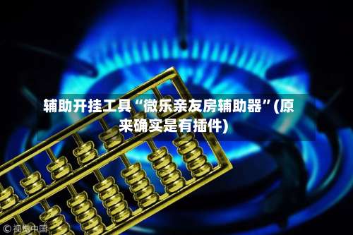 辅助开挂工具“微乐亲友房辅助器”(原来确实是有插件)-第3张图片