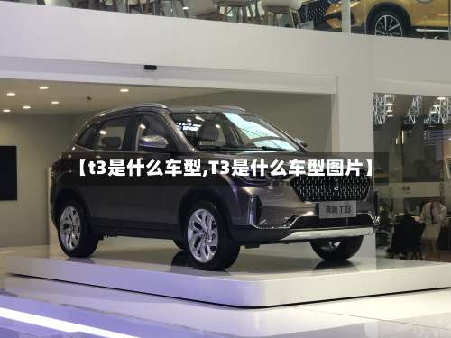 【t3是什么车型,T3是什么车型图片】-第2张图片