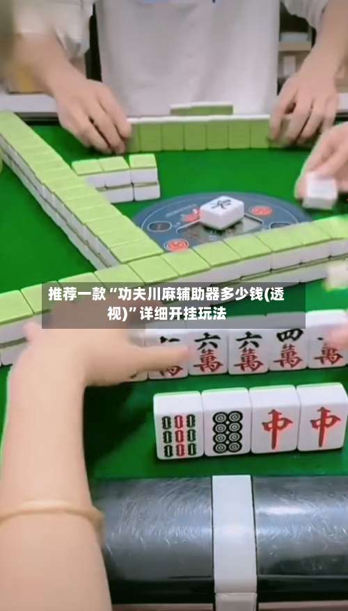 推荐一款“功夫川麻辅助器多少钱(透视)”详细开挂玩法-第3张图片