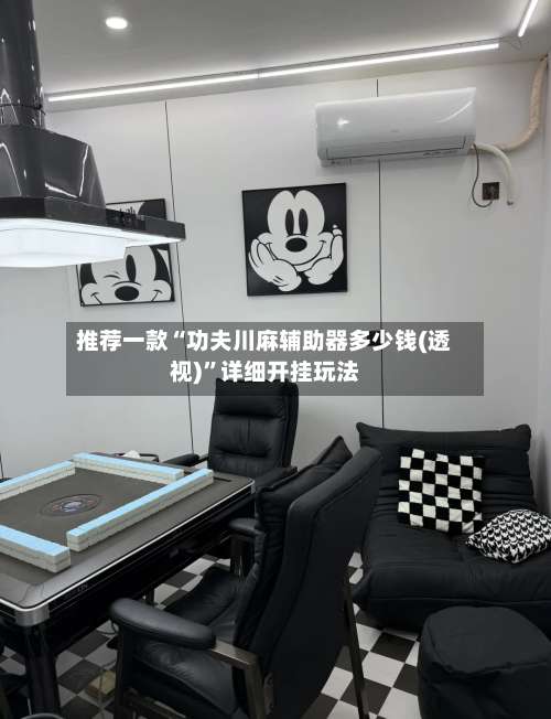 推荐一款“功夫川麻辅助器多少钱(透视)”详细开挂玩法-第1张图片