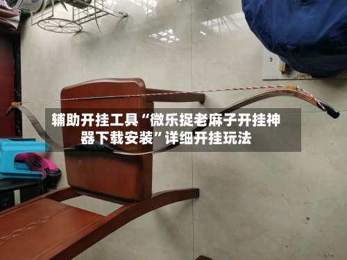 辅助开挂工具“微乐捉老麻子开挂神器下载安装”详细开挂玩法-第1张图片