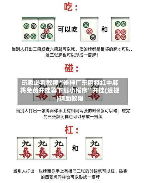 玩家必看教程“雀神广东麻将红中麻将免费开挂器下载小程序”开挂(透视)辅助教程-第1张图片