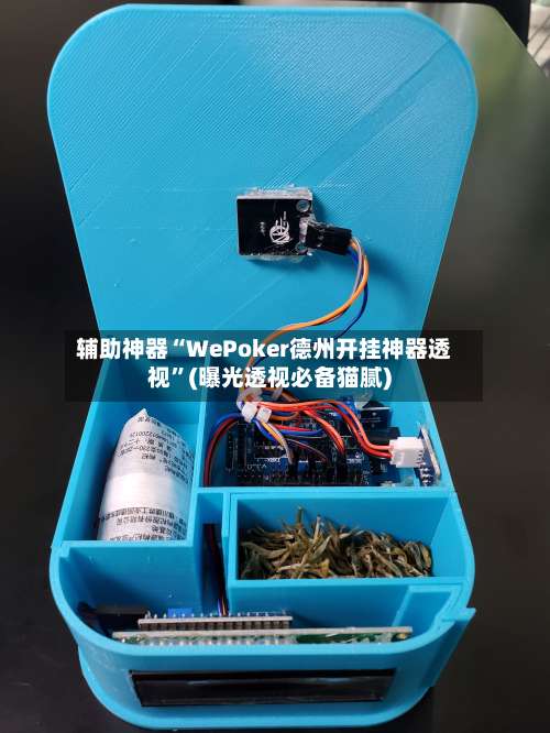 辅助神器“WePoker德州开挂神器透视	”(曝光透视必备猫腻)-第2张图片