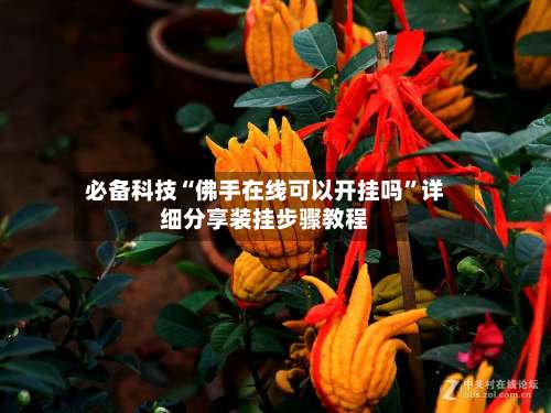 必备科技“佛手在线可以开挂吗”详细分享装挂步骤教程-第3张图片