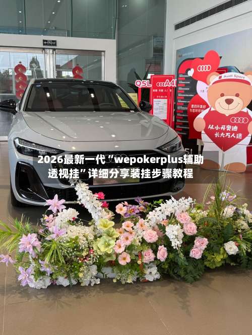 2026最新一代“wepokerplus辅助透视挂”详细分享装挂步骤教程-第1张图片