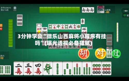 3分钟学会“微乐山西麻将小程序有挂吗	”(曝光透视必备猫腻)-第2张图片