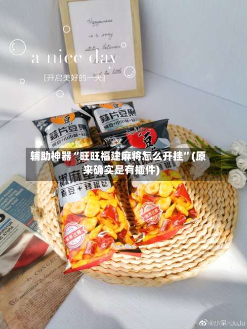 辅助神器“旺旺福建麻将怎么开挂”(原来确实是有插件)-第2张图片