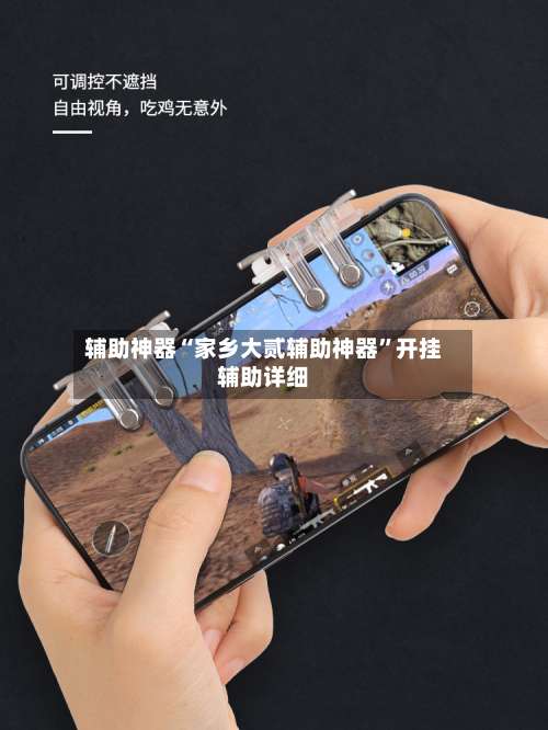 辅助神器“家乡大贰辅助神器”开挂辅助详细-第1张图片
