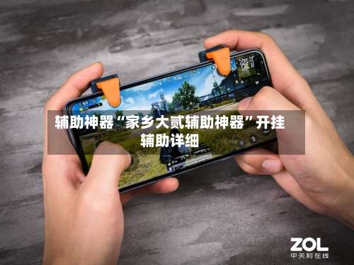 辅助神器“家乡大贰辅助神器	”开挂辅助详细-第2张图片