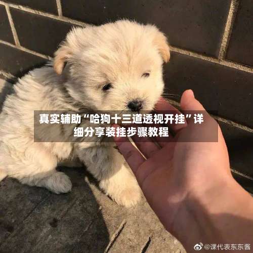 真实辅助“哈狗十三道透视开挂”详细分享装挂步骤教程-第1张图片