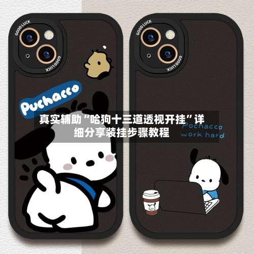 真实辅助“哈狗十三道透视开挂”详细分享装挂步骤教程-第3张图片