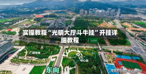 实操教程“光明大厅斗牛挂”开挂详细教程-第2张图片