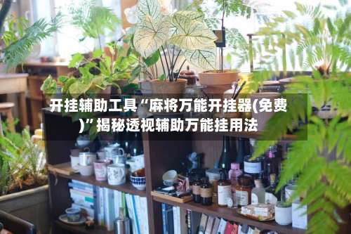 开挂辅助工具“麻将万能开挂器(免费)”揭秘透视辅助万能挂用法-第2张图片