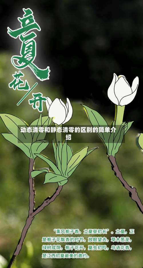 动态清零和静态清零的区别的简单介绍-第2张图片