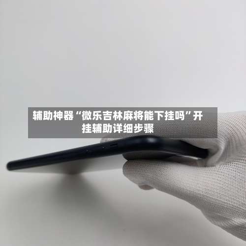 辅助神器“微乐吉林麻将能下挂吗”开挂辅助详细步骤-第3张图片