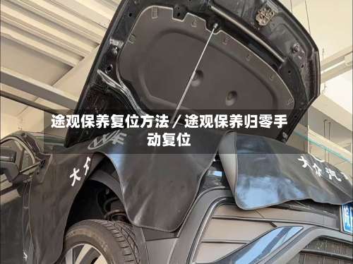 途观保养复位方法／途观保养归零手动复位-第3张图片