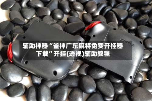 辅助神器“雀神广东麻将免费开挂器下载	”开挂(透视)辅助教程-第1张图片