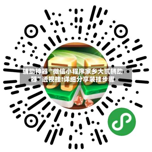 辅助神器“微信小程序家乡大贰辅助器”透视挂!详细分享装挂步骤-第2张图片