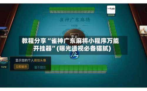 教程分享“雀神广东麻将小程序万能开挂器”(曝光透视必备猫腻)-第3张图片