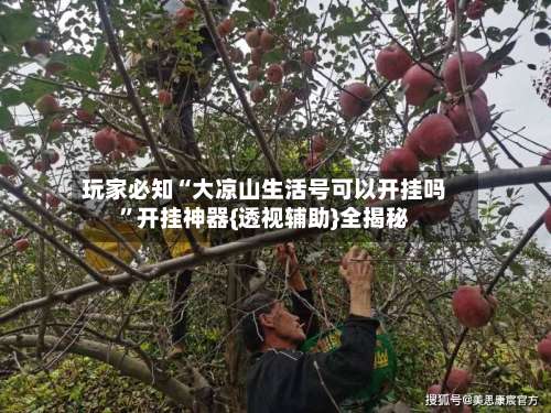 玩家必知“大凉山生活号可以开挂吗”开挂神器{透视辅助}全揭秘-第1张图片