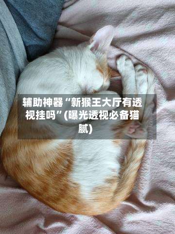 辅助神器“新猴王大厅有透视挂吗”(曝光透视必备猫腻)-第3张图片