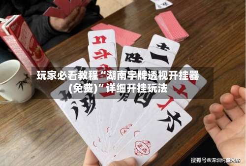 玩家必看教程“湖南字牌透视开挂器(免费)	”详细开挂玩法-第2张图片